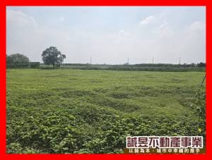 誠昱/佳里後庄大面寬優質.